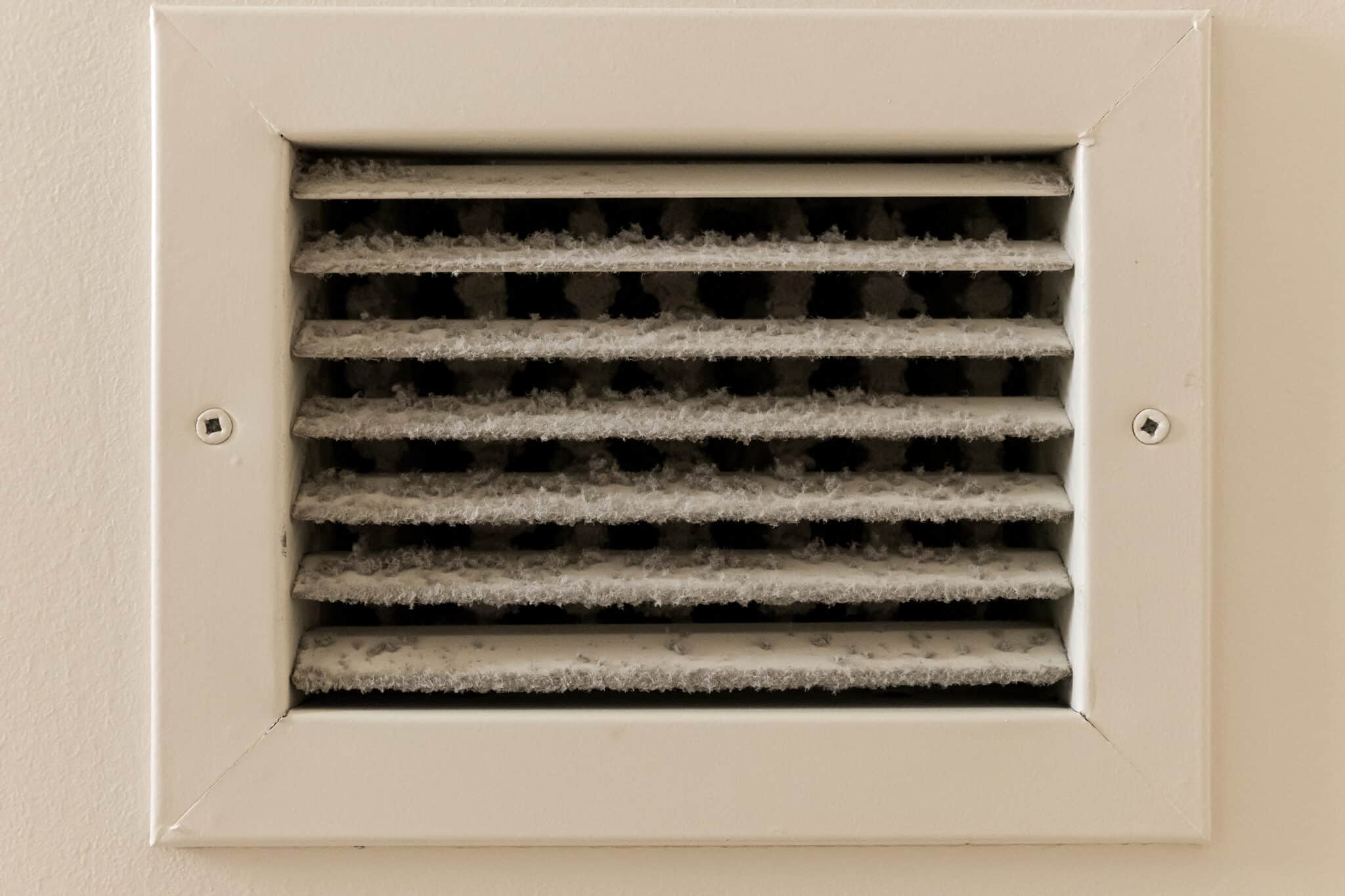 Image showcasing Container Ventilation Systems: Preventing Moisture and Mold