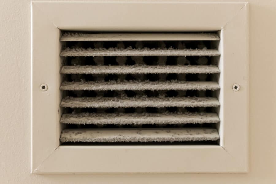 Image of mold in a vent