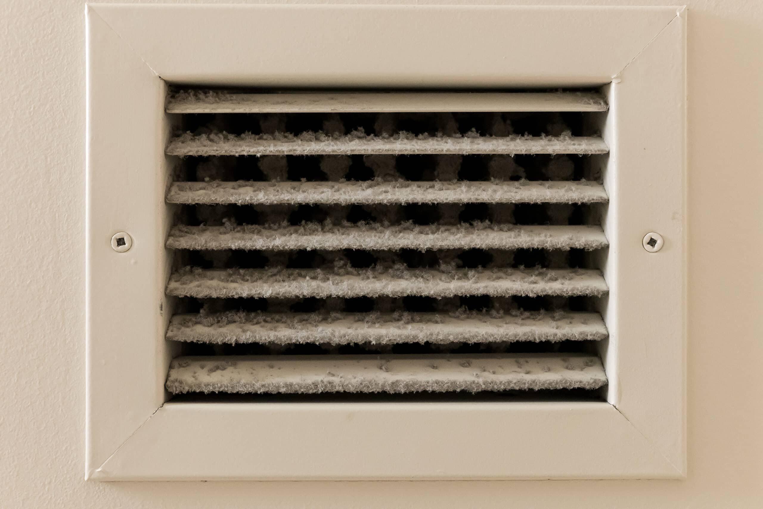 Image of mold in a vent
